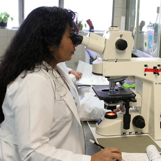 International Day of Women and Girls in Science